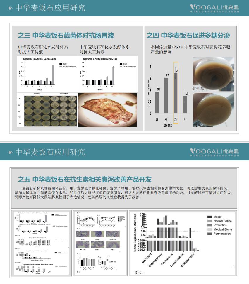 中华麦饭石材料及应用研究