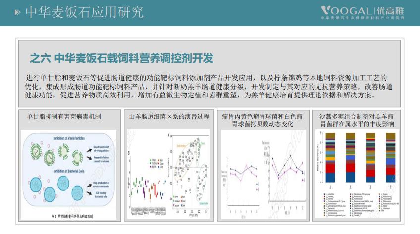 中华麦饭石材料及应用研究